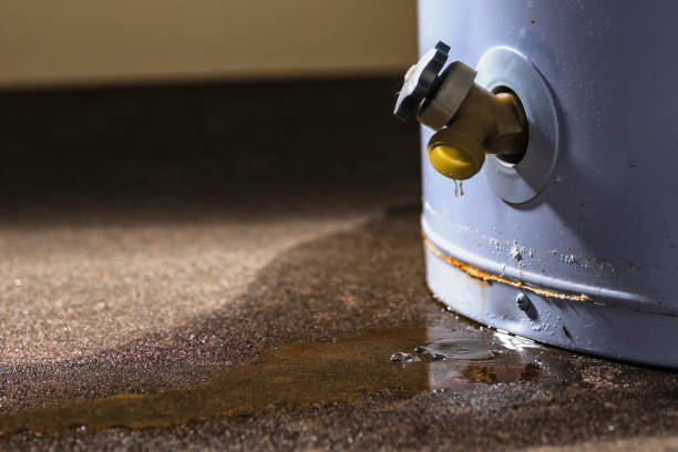 Best Carpet water damage restoration  in Bell Nyon, CA
