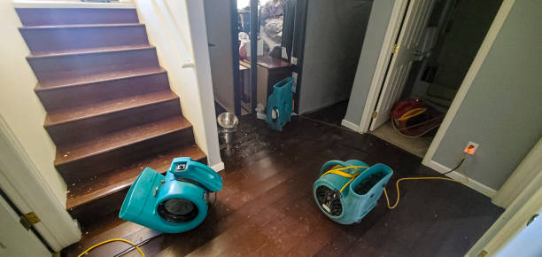 Best Local water damage restoration  in Bell Nyon, CA