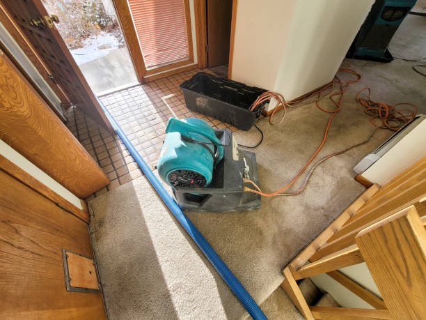  Bell Nyon, CA Water damage restoration Pros