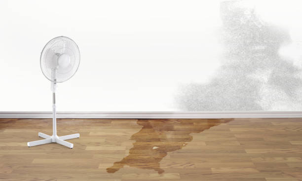Best Local water damage restoration  in Bell Nyon, CA