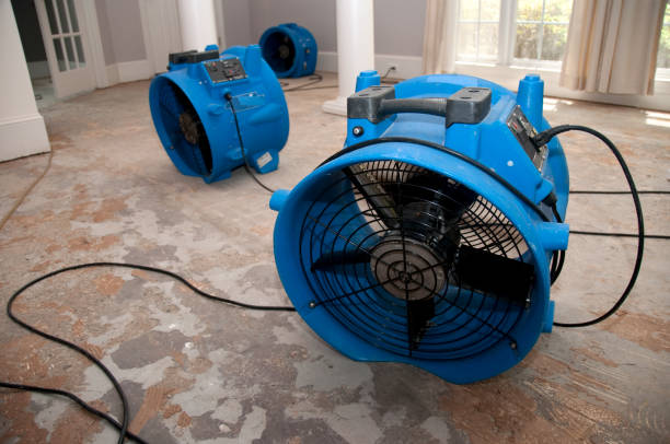 Best Water damage restoration near me  in Bell Nyon, CA