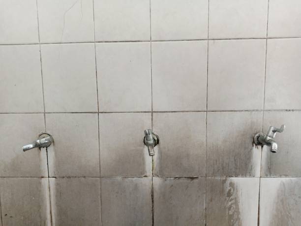 Best 24-hour water damage restoration  in Bell Nyon, CA