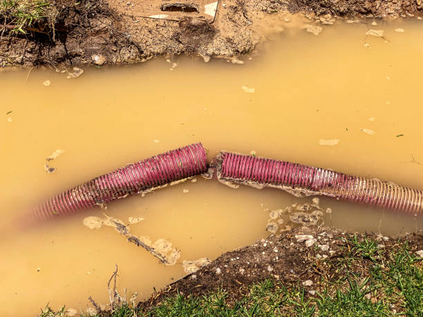 Best Water damage repair service  in Bell Nyon, CA