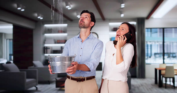 Best Residential water damage restoration  in Bell Nyon, CA