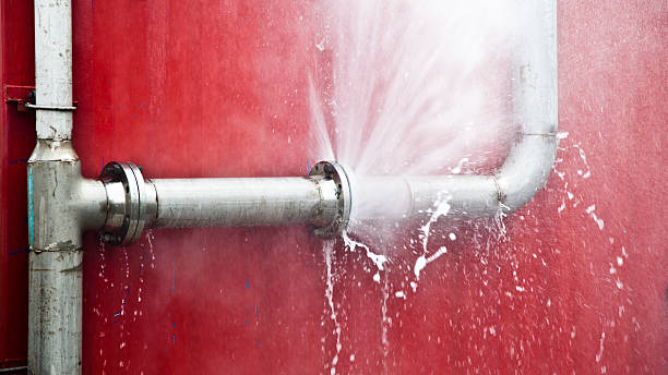 Best Professional water damage repair  in Bell Nyon, CA
